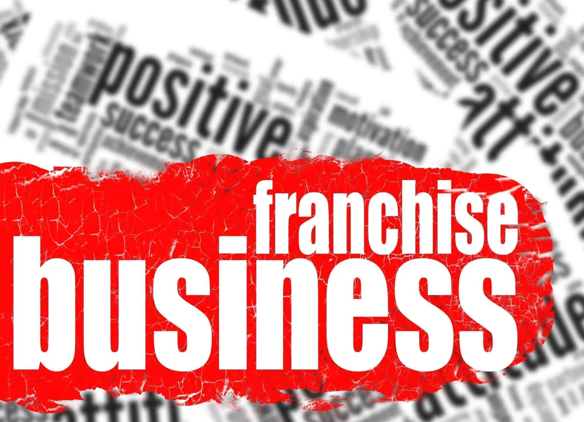 Dissecting a Franchise Agreement: Part One